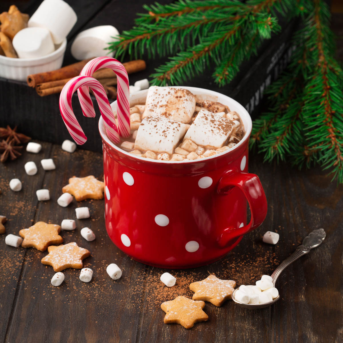 Hot cocoa with holiday treats and festive décor