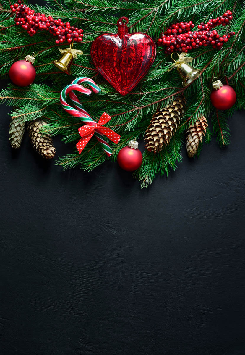 Holiday greenery border on dark background